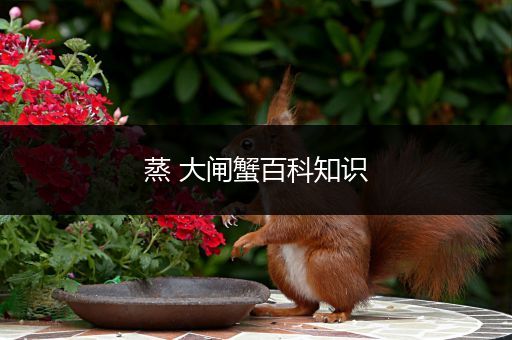 蒸 大闸蟹百科知识