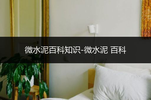 微水泥百科知识-微水泥 百科