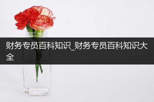 财务专员百科知识_财务专员百科知识大全