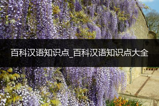 百科汉语知识点_百科汉语知识点大全