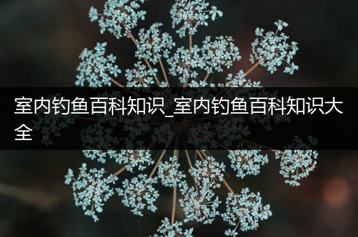 室内钓鱼百科知识_室内钓鱼百科知识大全