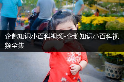 企鹅知识小百科视频-企鹅知识小百科视频全集