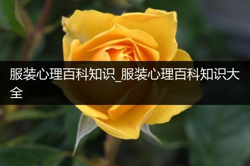 服装心理百科知识_服装心理百科知识大全
