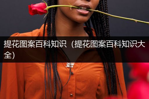 提花图案百科知识（提花图案百科知识大全）