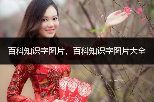 百科知识字图片，百科知识字图片大全