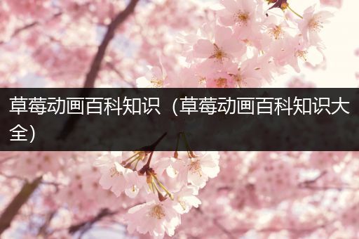 草莓动画百科知识（草莓动画百科知识大全）