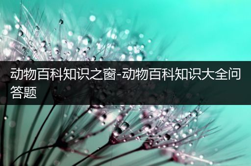 动物百科知识之窗-动物百科知识大全问答题