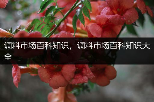 调料市场百科知识，调料市场百科知识大全