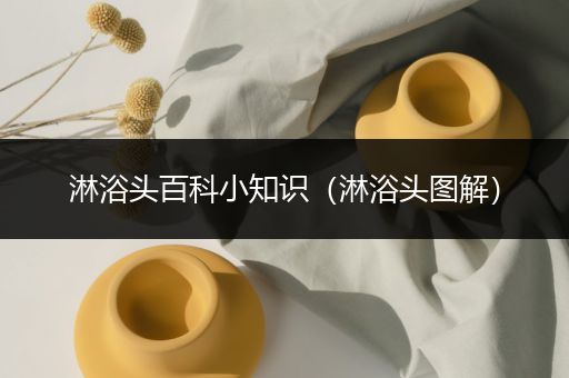 淋浴头百科小知识（淋浴头图解）