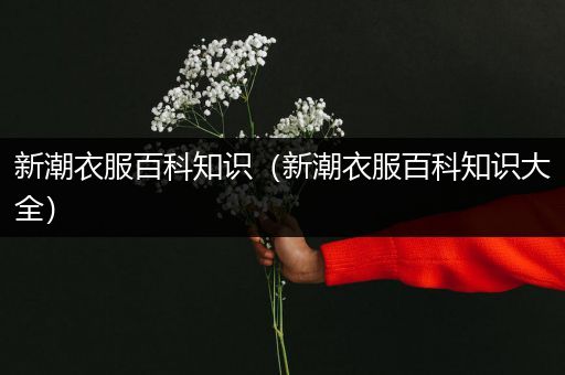 新潮衣服百科知识（新潮衣服百科知识大全）