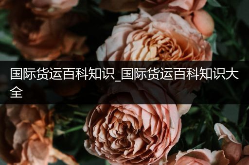 国际货运百科知识_国际货运百科知识大全