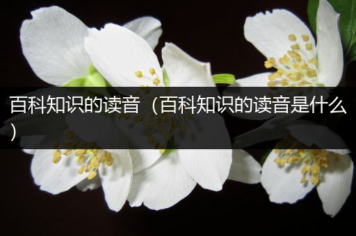 百科知识的读音（百科知识的读音是什么）