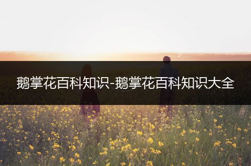 鹅掌花百科知识-鹅掌花百科知识大全