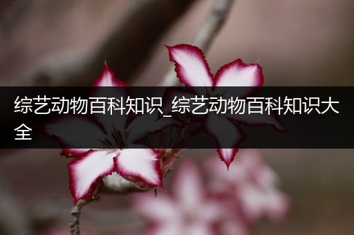 综艺动物百科知识_综艺动物百科知识大全