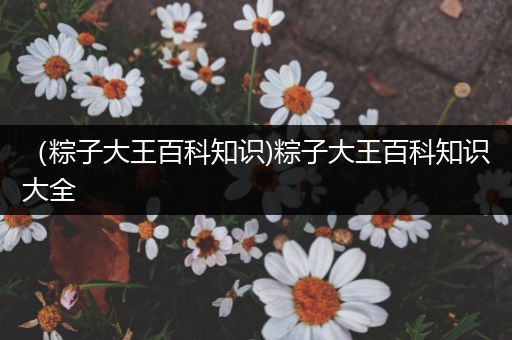 （粽子大王百科知识)粽子大王百科知识大全