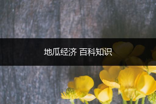 地瓜经济 百科知识