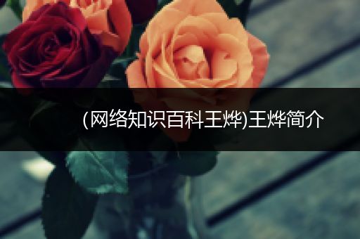 （网络知识百科王烨)王烨简介