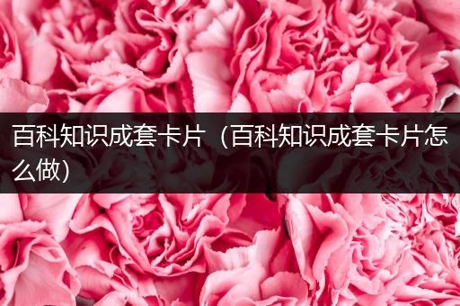 百科知识成套卡片（百科知识成套卡片怎么做）