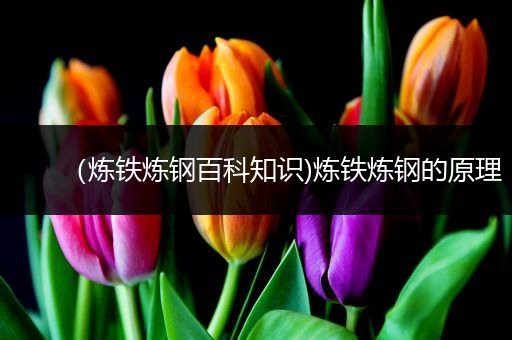 （炼铁炼钢百科知识)炼铁炼钢的原理