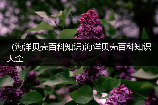 （海洋贝壳百科知识)海洋贝壳百科知识大全