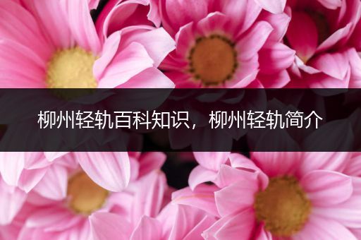 柳州轻轨百科知识，柳州轻轨简介