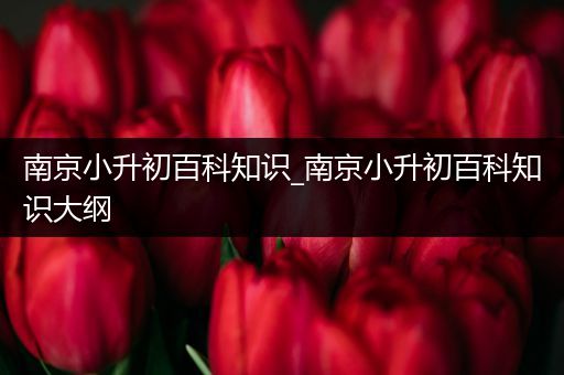 南京小升初百科知识_南京小升初百科知识大纲