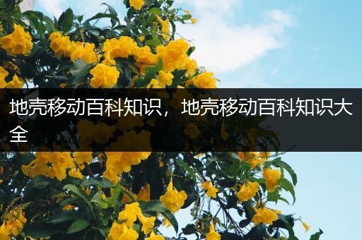 地壳移动百科知识，地壳移动百科知识大全