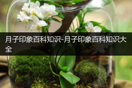 月子印象百科知识-月子印象百科知识大全