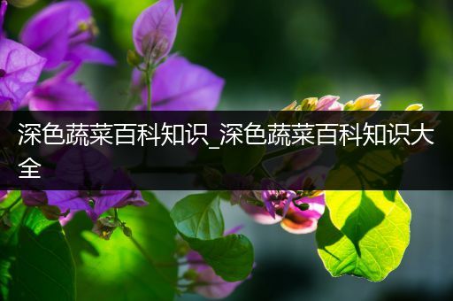 深色蔬菜百科知识_深色蔬菜百科知识大全