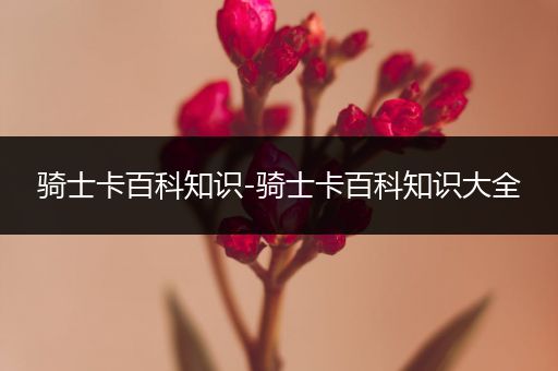 骑士卡百科知识-骑士卡百科知识大全