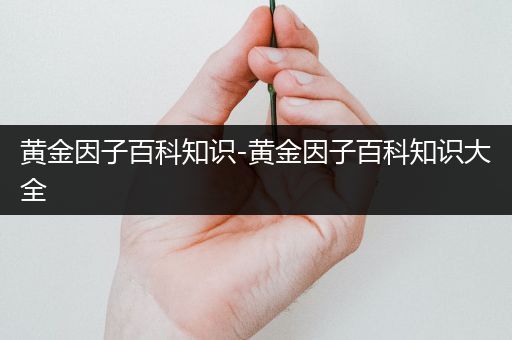 黄金因子百科知识-黄金因子百科知识大全