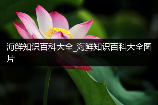 海鲜知识百科大全_海鲜知识百科大全图片