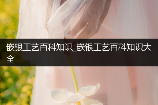 嵌银工艺百科知识_嵌银工艺百科知识大全