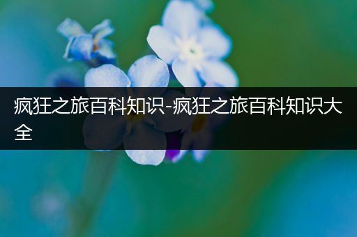 疯狂之旅百科知识-疯狂之旅百科知识大全