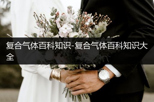 复合气体百科知识-复合气体百科知识大全