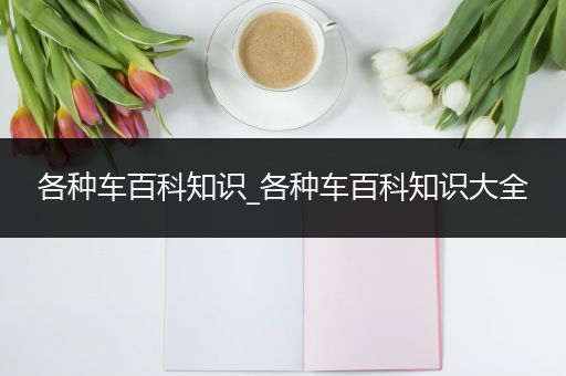 各种车百科知识_各种车百科知识大全