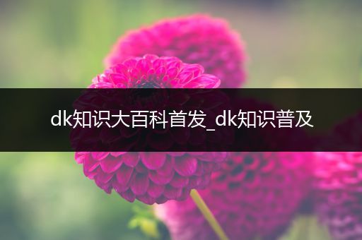 dk知识大百科首发_dk知识普及