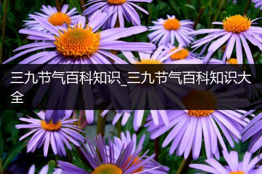 三九节气百科知识_三九节气百科知识大全
