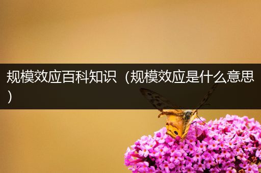 规模效应百科知识（规模效应是什么意思）
