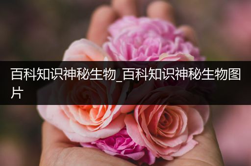 百科知识神秘生物_百科知识神秘生物图片