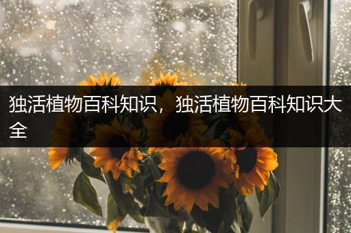 独活植物百科知识，独活植物百科知识大全