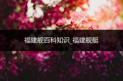福建舰百科知识_福建舰艇