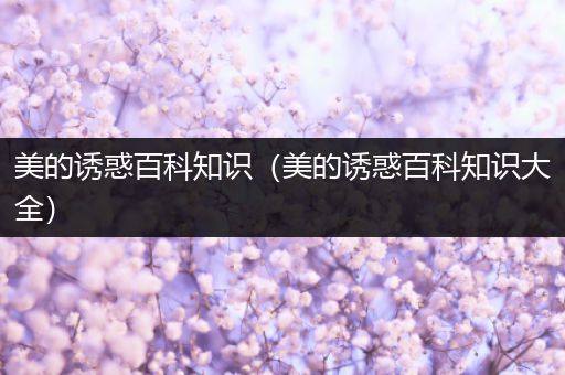美的诱惑百科知识（美的诱惑百科知识大全）