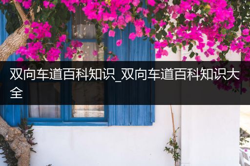 双向车道百科知识_双向车道百科知识大全