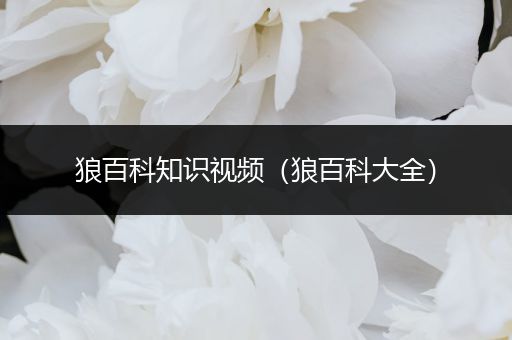 狼百科知识视频（狼百科大全）