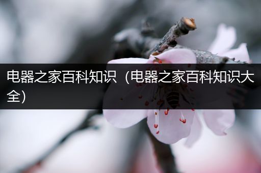电器之家百科知识（电器之家百科知识大全）