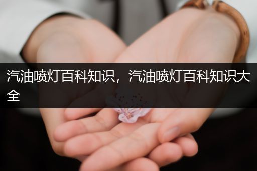 汽油喷灯百科知识，汽油喷灯百科知识大全