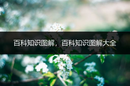 百科知识图解，百科知识图解大全
