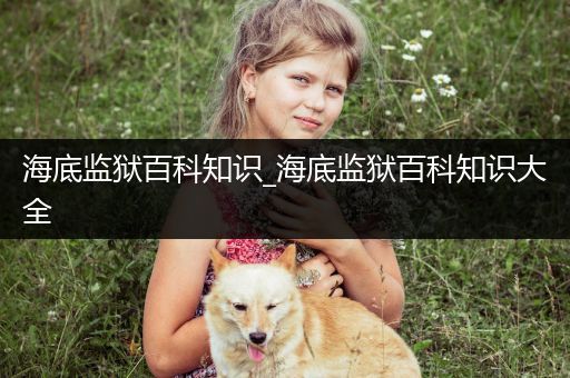 海底监狱百科知识_海底监狱百科知识大全