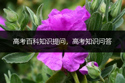 高考百科知识提问，高考知识问答